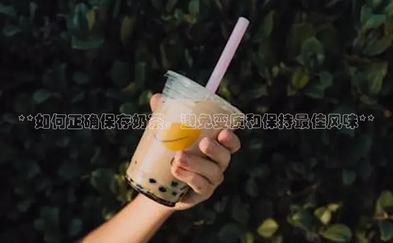 凯捷娱乐阿里尔公司